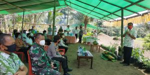 Tangguh Dimasa Pandemi, Desa Pinilih Terjamin Ketahanan Pangannya