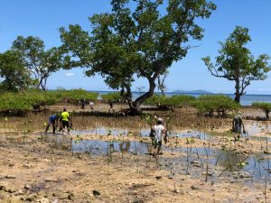 Libatkan Warga, PT. Bhineka Mancawisata Tanam Ribuan Mangrove