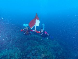 Peringati HUT ke-77 Kemerdekaan RI, RDC Bakal Kibarkan Merah Putih di Spot Cantik Bawah Laut Mitra