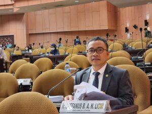 Sidang Paripurna DPD RI, Anggota Komite II Sampaikan Pandangan & Pendapat Terkait RUU Tentang Energi Baru dan Terbarukan
