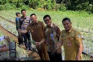 Berdayakan Pesantren, BI sulut Panen Raya Demplot Pertanian Bawang Merah