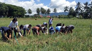 Pengolahan Lahan 5.000 m2 oleh Petani Unggulan BI Hasilkan Bawang Merah 5 Ton