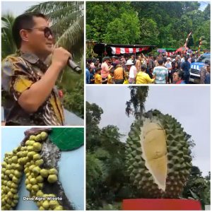 Festival Buah Desa Batu Syukuri Hasil Kebun