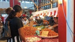 Dapur Terdesak Pedasnya Harga Rica di Bumi Nyiur Melambai