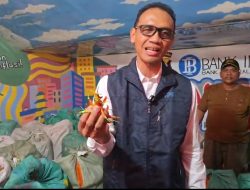 Mengapa Cabai Rawit Probolinggo Hadir di Sulut? Ini alasannya